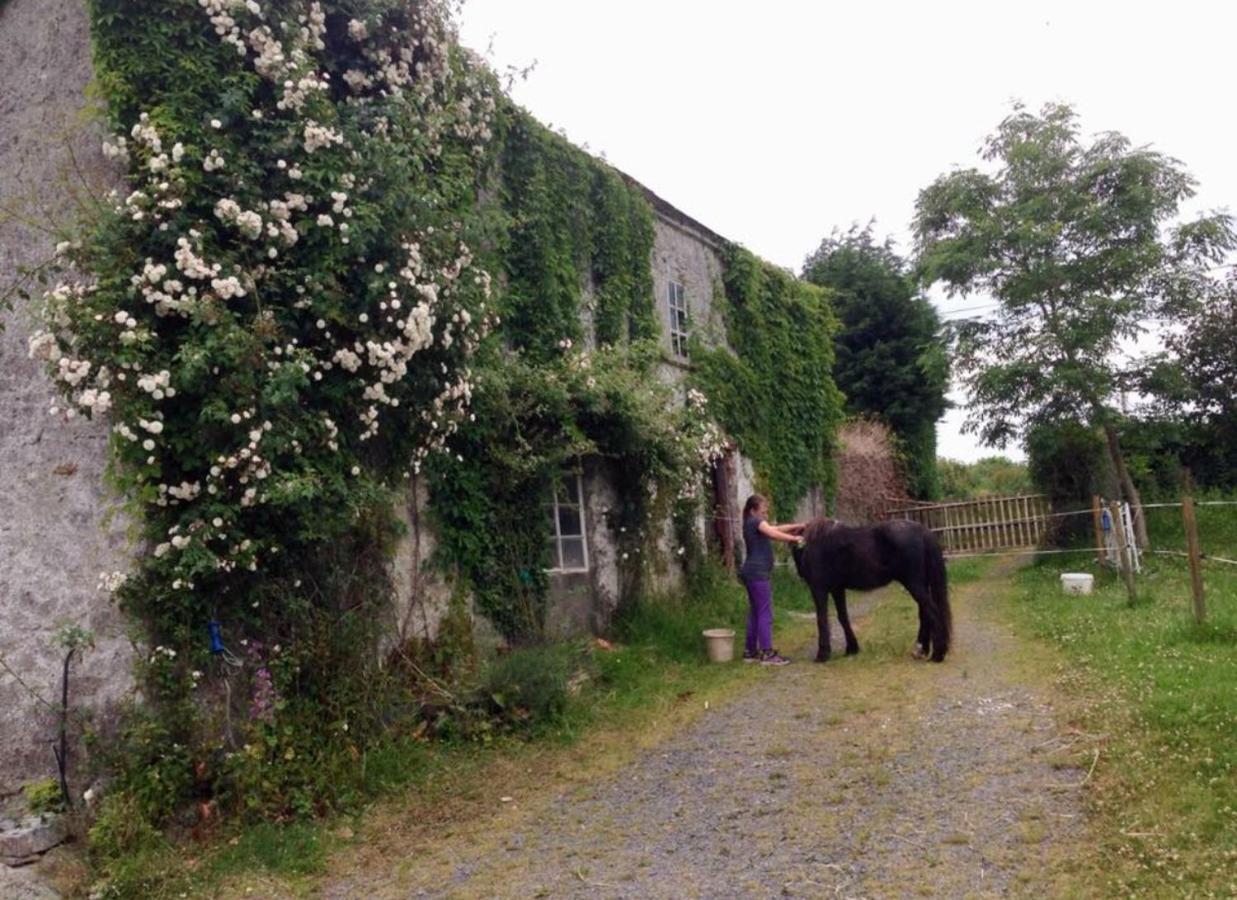 Hotel Ballyrider House Inch Cross Exterior foto